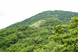  장안산 구국기도회