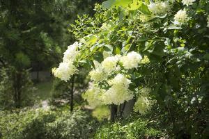  하계대성회 셋째날 오후(구속사강의8, 둘러보기) 