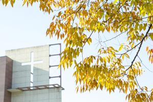  교회 둘러보기 (평강의 가을)