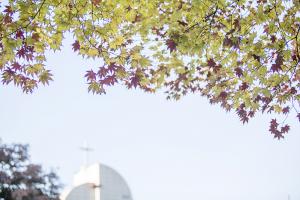  교회 둘러보기 (평강의 가을)