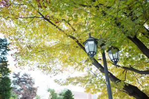  교회 둘러보기 (평강의 가을)