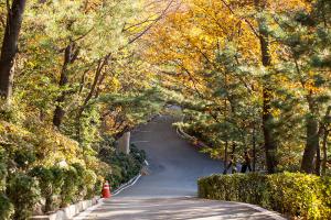  교회 둘러보기 (평강의 가을)