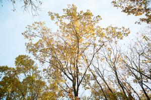  교회 둘러보기 (평강의 가을)