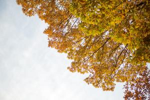  교회 둘러보기 (평강의 가을)