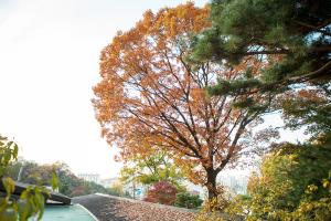  교회 둘러보기 (평강의 가을)