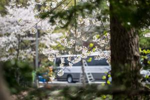  교회 둘러보기(평강의 봄)