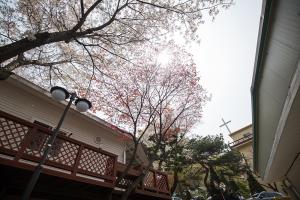  교회 둘러보기(평강의 봄)