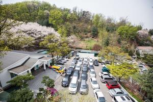  교회 둘러보기(평강의 봄)