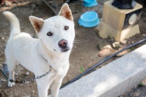  하계대성회 둘째날 (둘러보기)