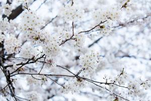  토요일 교회 둘러보기