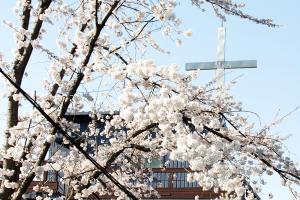  토요일 교회 둘러보기