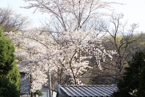  토요일 교회 둘러보기