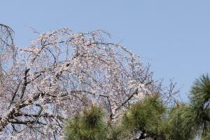  주일 2부예배