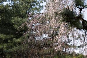  주일 2부예배
