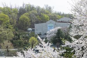  주일 봄 둘러보기