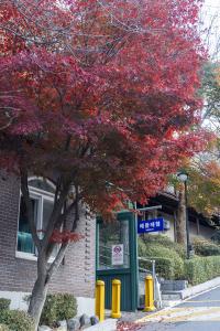  교회 가을 둘러보기