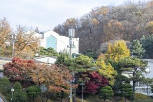  교회 가을 둘러보기