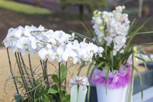  구속사 말씀 승리의 날 감사예배