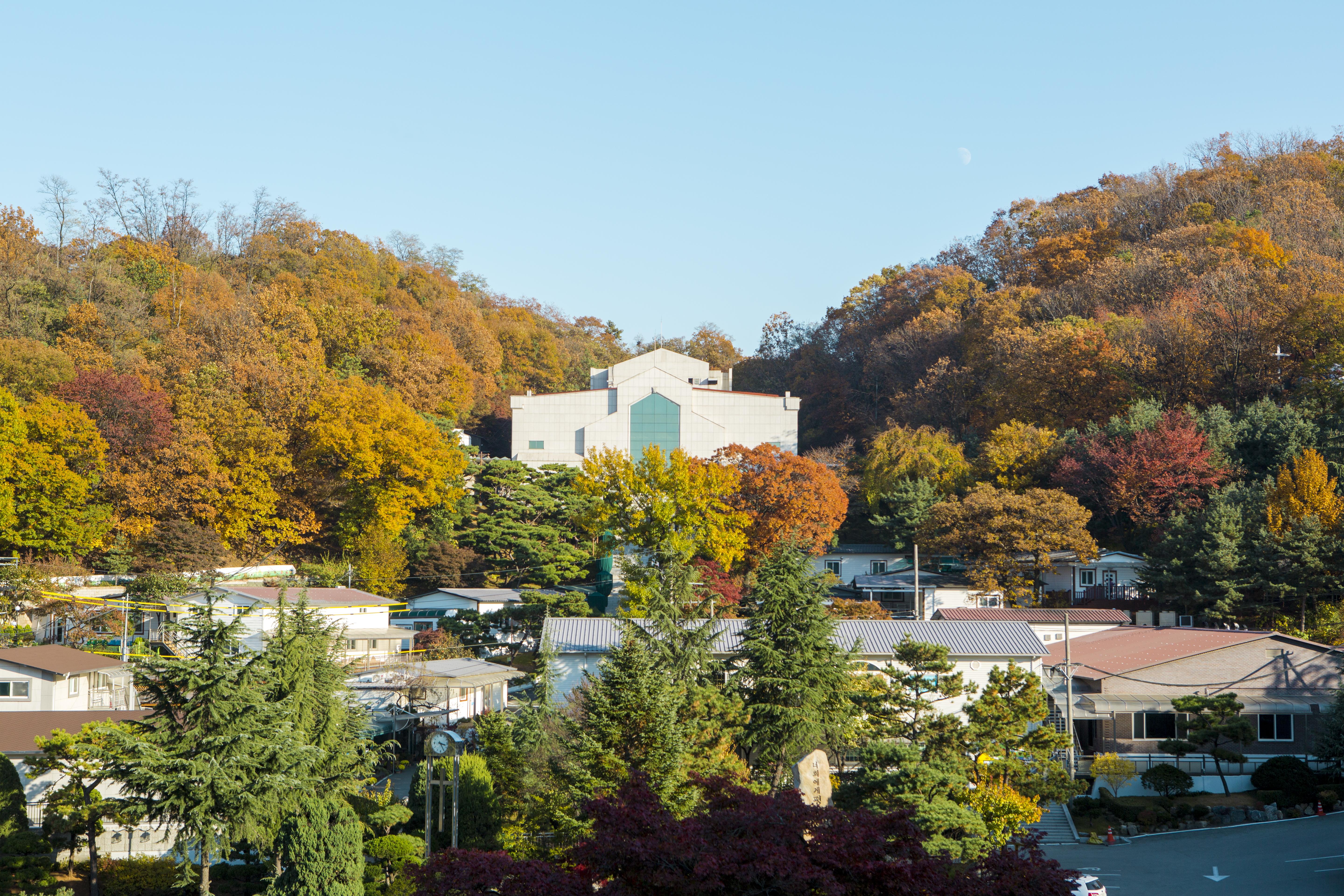 PK1_3756.jpg