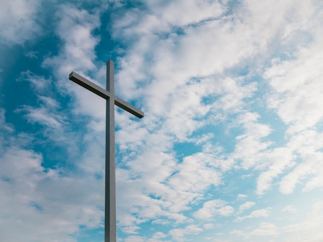aaron-burden-ia0Zxx_sDr8-unsplash (2).jpg
