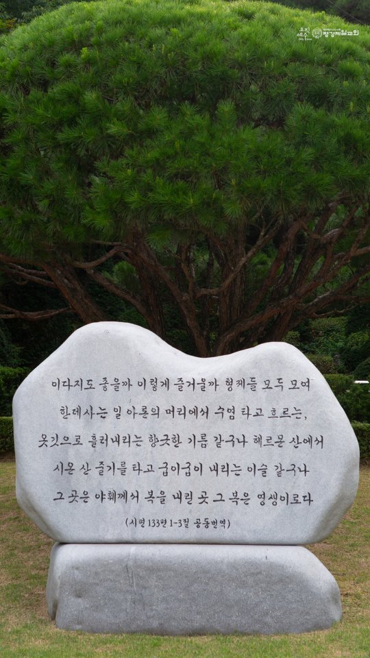 8월 오늘의 만나 모바일용 배경화면