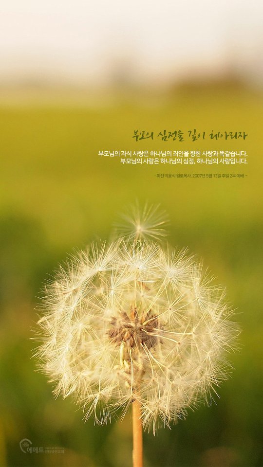 오늘의 만나 _ 부모의 심정을 깊이 헤아리자 모바일용 배경화면