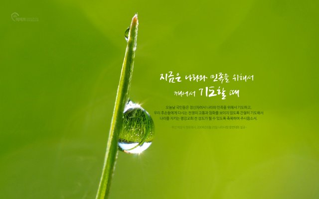 [오늘의 만나] 지금은 나라와 민족을 위해서 깨어서 기도할 때 배경화면 미리보기