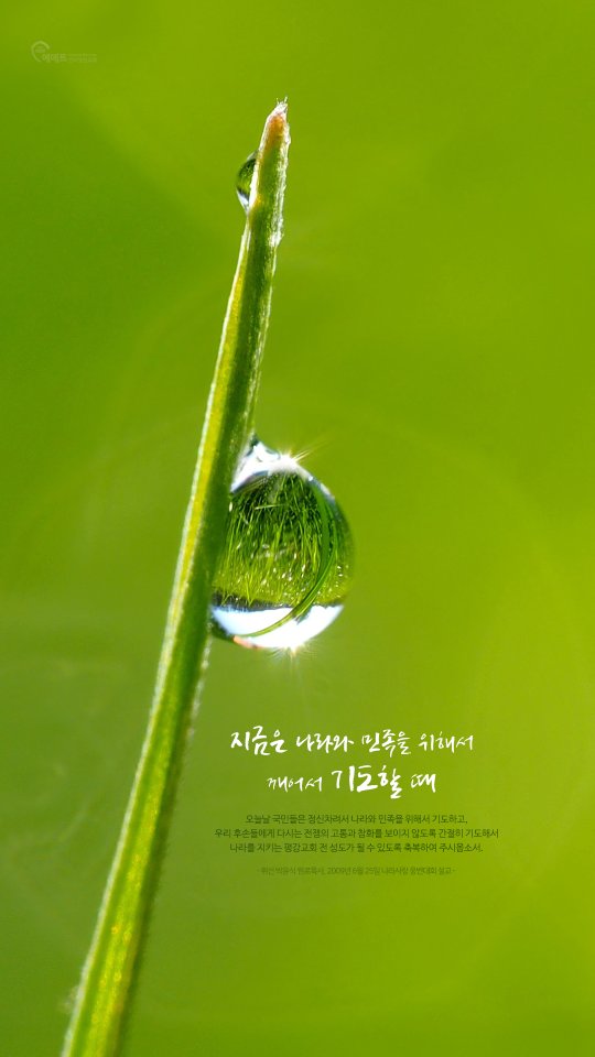 [오늘의 만나] 지금은 나라와 민족을 위해서 깨어서 기도할 때 모바일용 배경화면