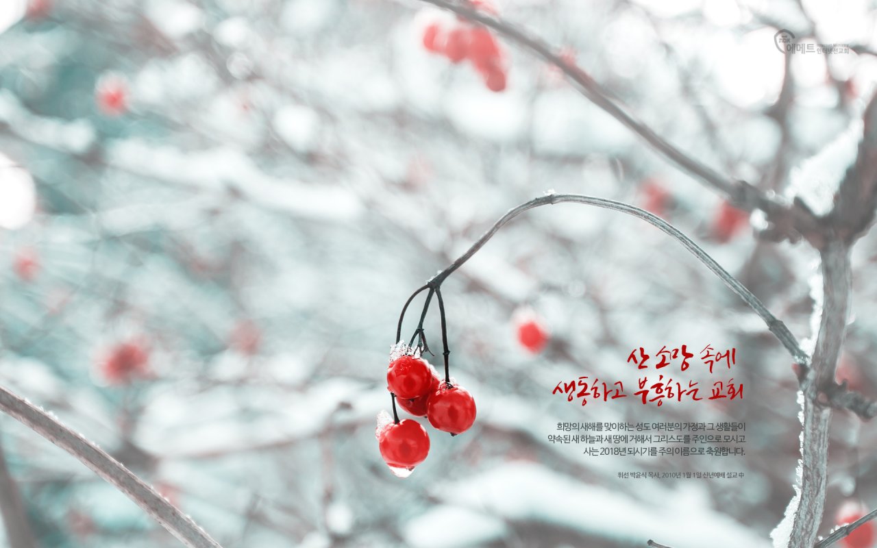 오늘의 만나 - 산 소망 속에 생동하고 부흥하는 교회 PC용 배경화면