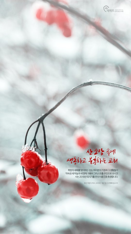 오늘의 만나 - 산 소망 속에 생동하고 부흥하는 교회 모바일용 배경화면