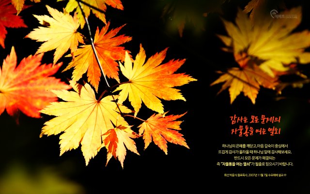 [오늘의 만나] 감사는 모든 문제의 자물통을 여는 열쇠 배경화면 미리보기
